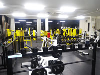 ���s�g���[�j���O�W���E�Z�C�m�[�W��